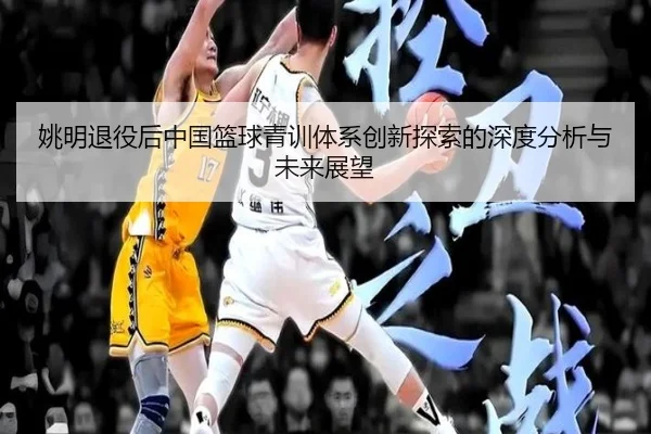 姚明退役后中国篮球青训体系创新探索的深度分析与未来展望